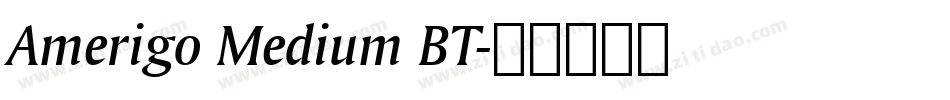 Amerigo Medium BT字体转换